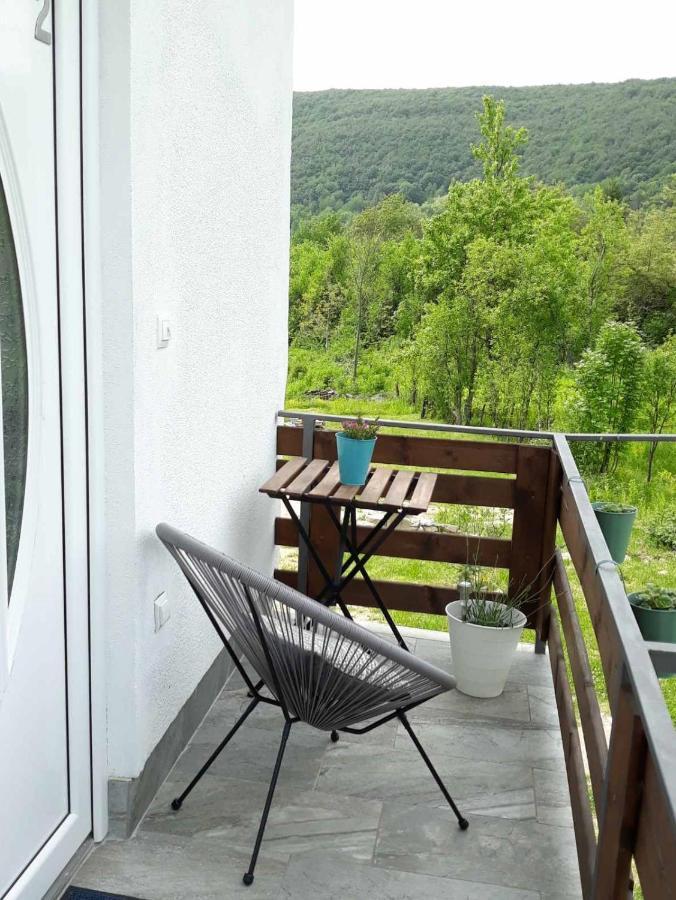 Plitvice Valley Apartments Licko Petrovo Selo Extérieur photo